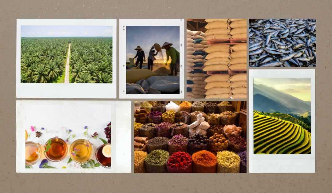 A New Chapter for Asia’s Commodities: The Rise of Sustainable Practices